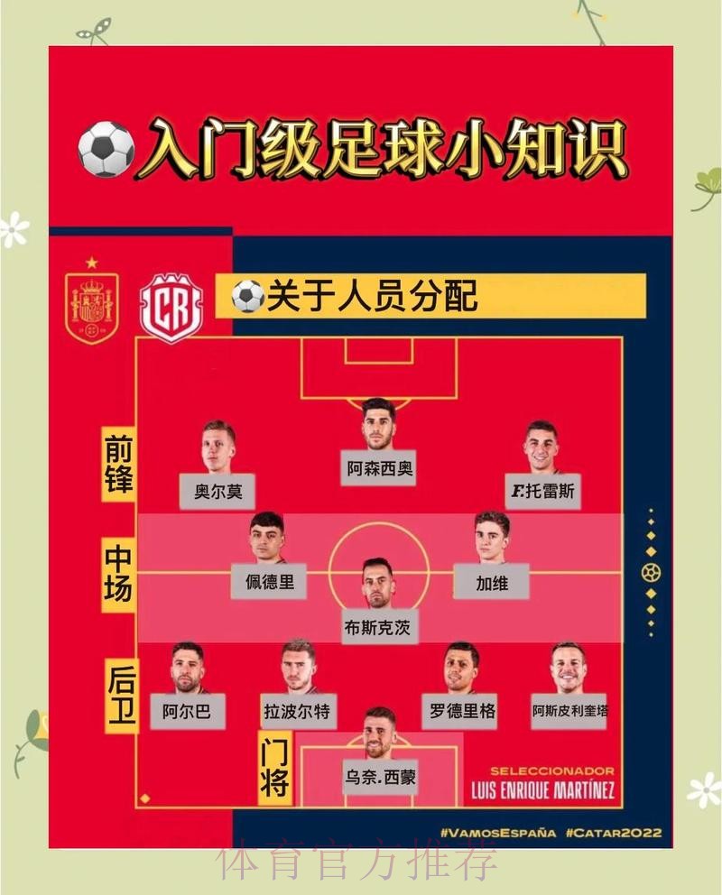 世界杯滚球玩法详解:新手必读的入门指南